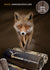 30x50 Towel Fox | Hillman Hunting
